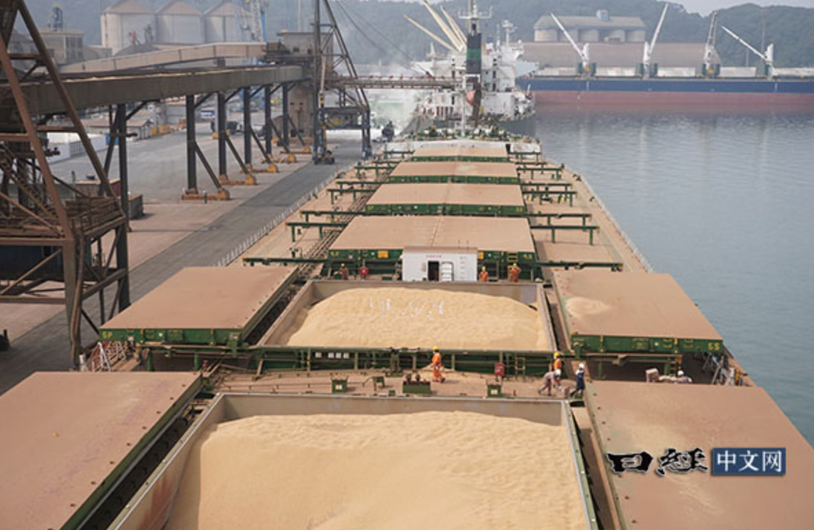 董事长兼首席执行官