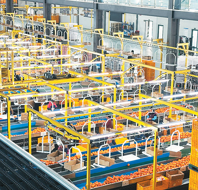 水米田农业产业园区